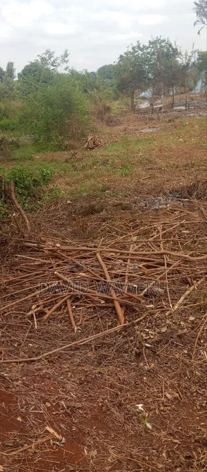 Maragwa Avery Prime 2 Acre Land Touching Tarmack