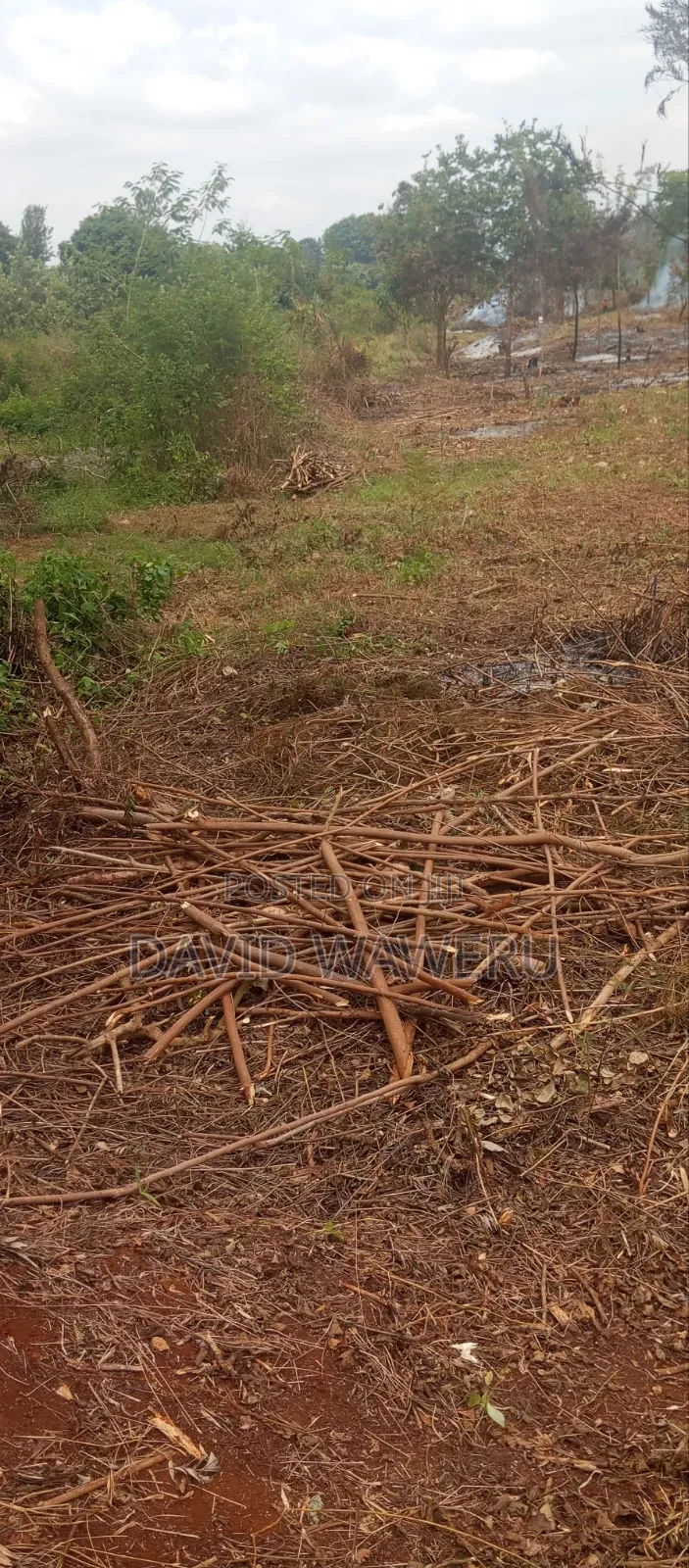 Maragwa Avery Prime 2 Acre Land Touching Tarmack