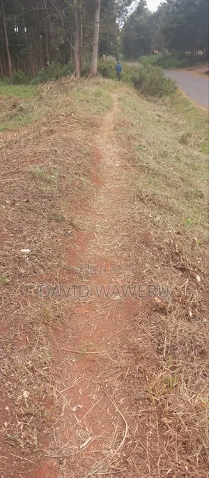 Maragwa Avery Prime 2 Acre Land Touching Tarmack