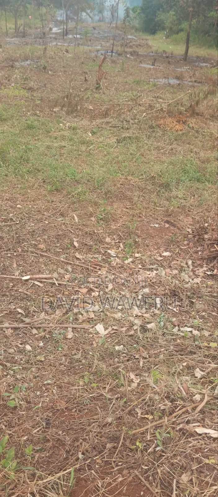 Maragwa Avery Prime 2 Acre Land Touching Tarmack
