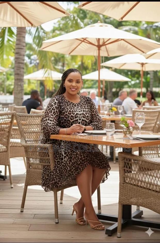 Animal Print Shiffon Dress Comes 2colours