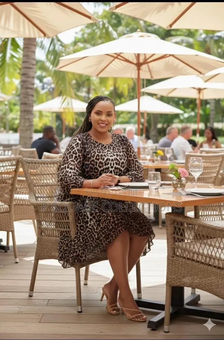 Animal Print Shiffon Dress Comes 2colours