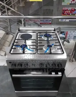 Light Silver BJS 60*60 Standing Cooker