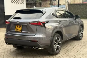 Lexus NX 2014 Gray