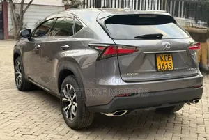 Lexus NX 2014 Gray