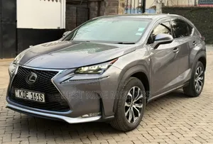 Lexus NX 2014 Gray