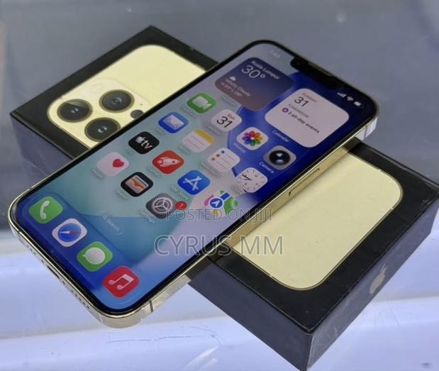 Apple iPhone 13 Pro Max 512 GB