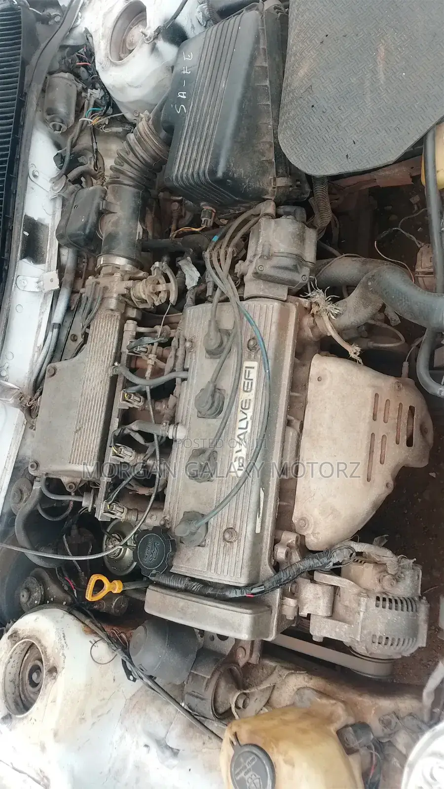 Toyota Corolla 1998 White