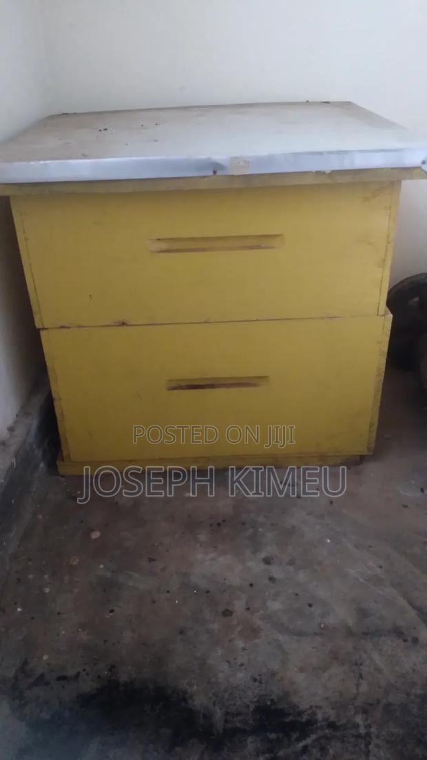 Very New Bee Hive