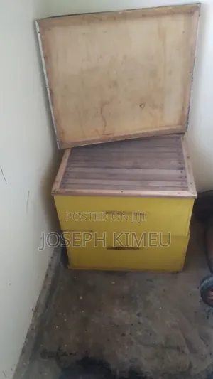 Very New Bee Hive