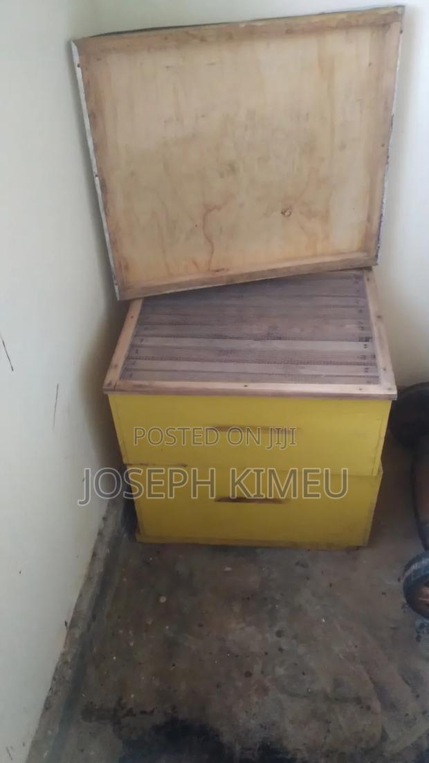 Very New Bee Hive - thumbnail 2