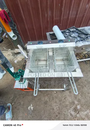 Electric Double Deep Fryer