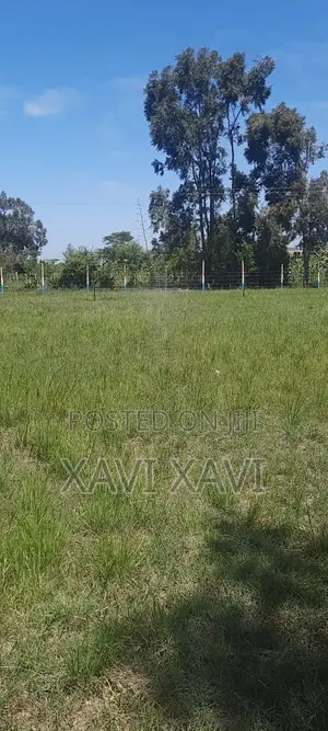 Land for Sale (Thika)
