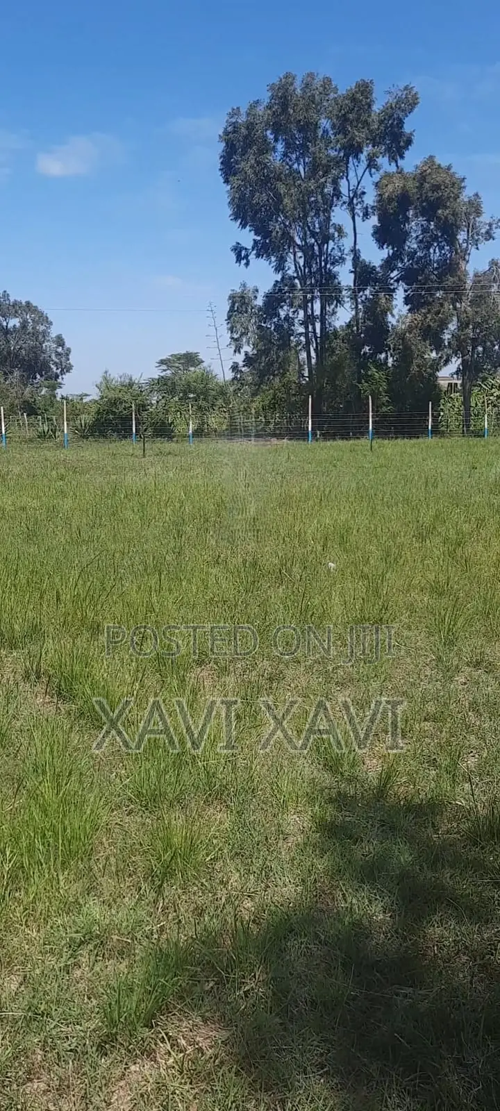 Land for Sale (Thika)