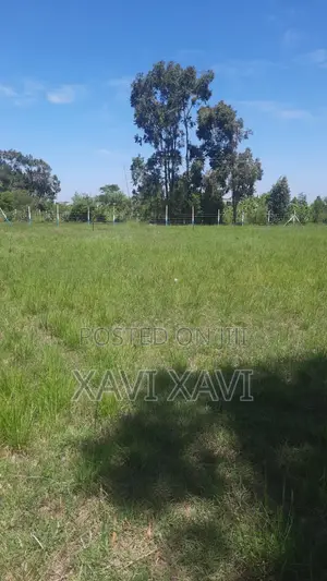 Land for Sale (Thika)