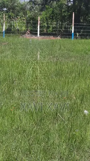 Land for Sale (Thika)