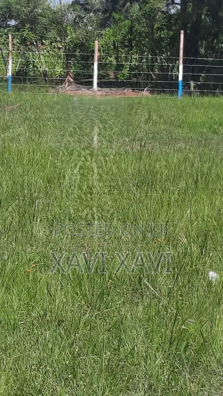 Land for Sale (Thika)