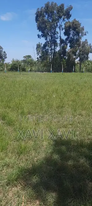 Land for Sale (Thika)