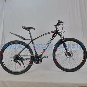Reset Sports MTB 29" – High Performance Adult Bike