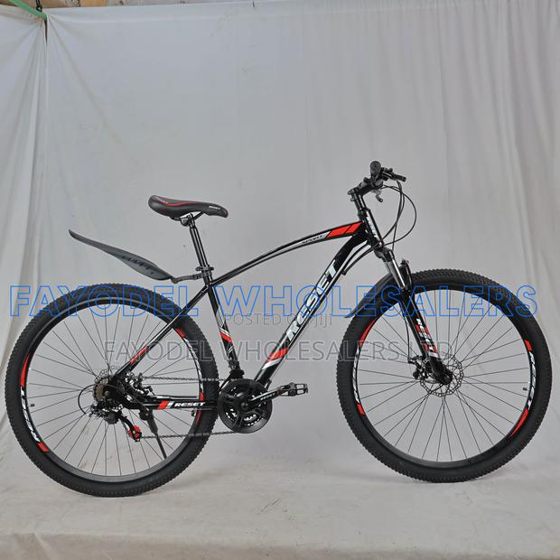 Reset Adult Bicycle 29 Inch –