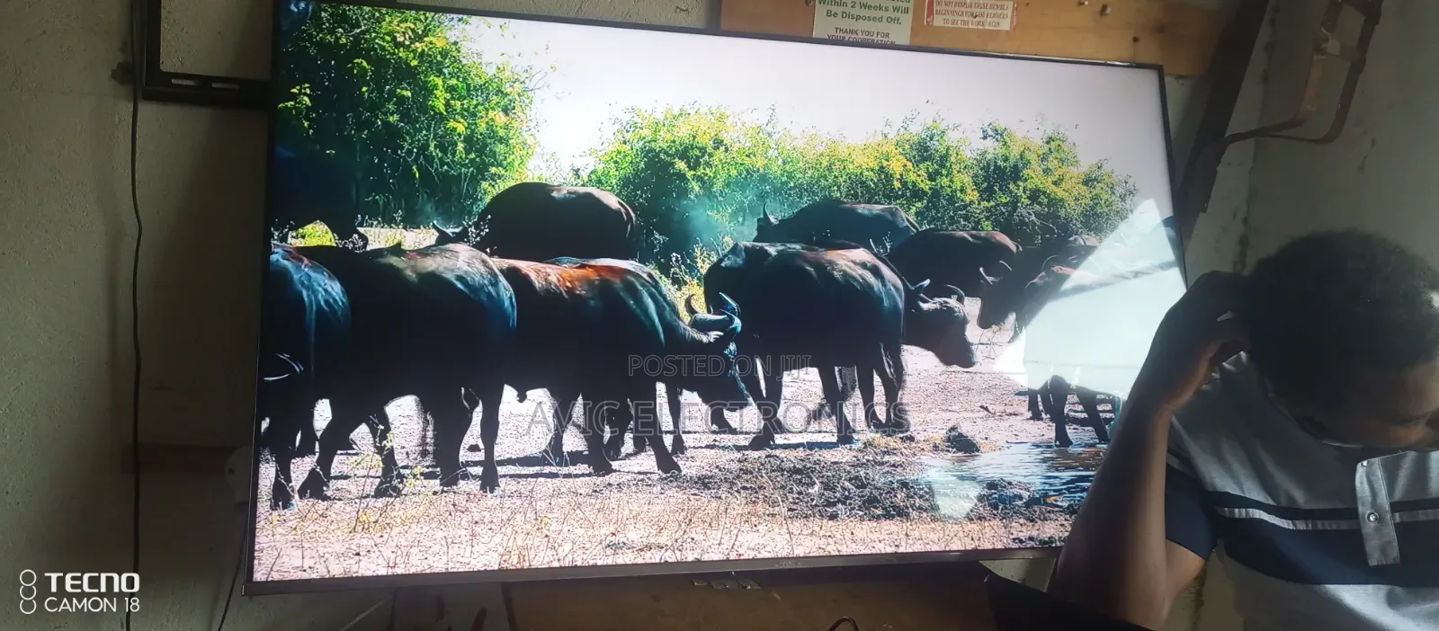 TCL Tv Repairs