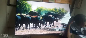 TCL Tv Repairs