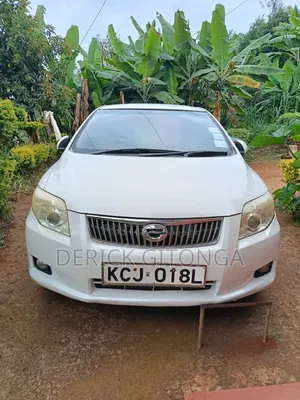 Toyota Axio 2010 White
