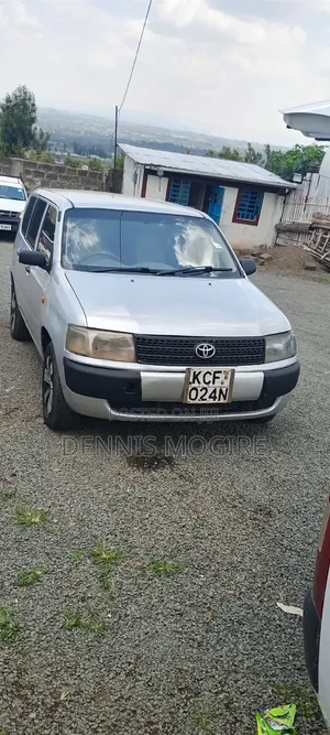 Toyota Probox 2009 Silver