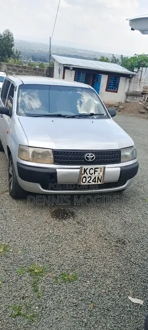Toyota Probox 2009 Silver