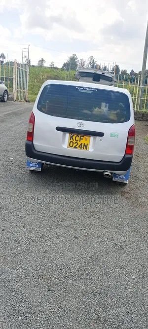 Toyota Probox 2009 Silver