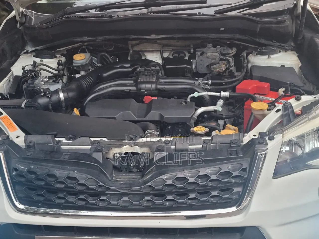 Subaru Forester 2016 White