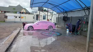 Wash And Wax (Pink In Color)