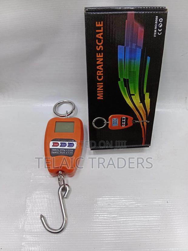 200 Kg Crane Weighing Machine