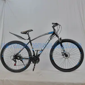 Reset 29 Inch Mountain Bike – Mechanical Disc Brakes | Blue