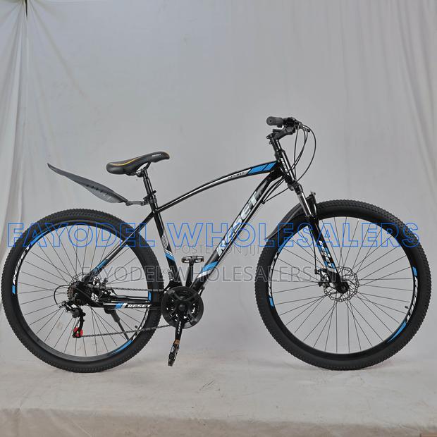 Reset 29 Inch Mountain Bike – Mechanical Disc Brakes | Blue