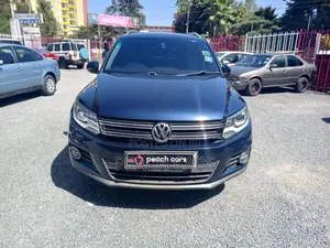 Volkswagen Tiguan 2014 Blue