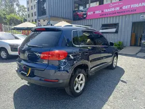 Volkswagen Tiguan 2014 Blue