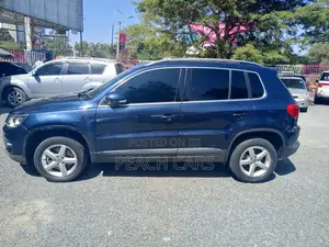 Volkswagen Tiguan 2014 Blue