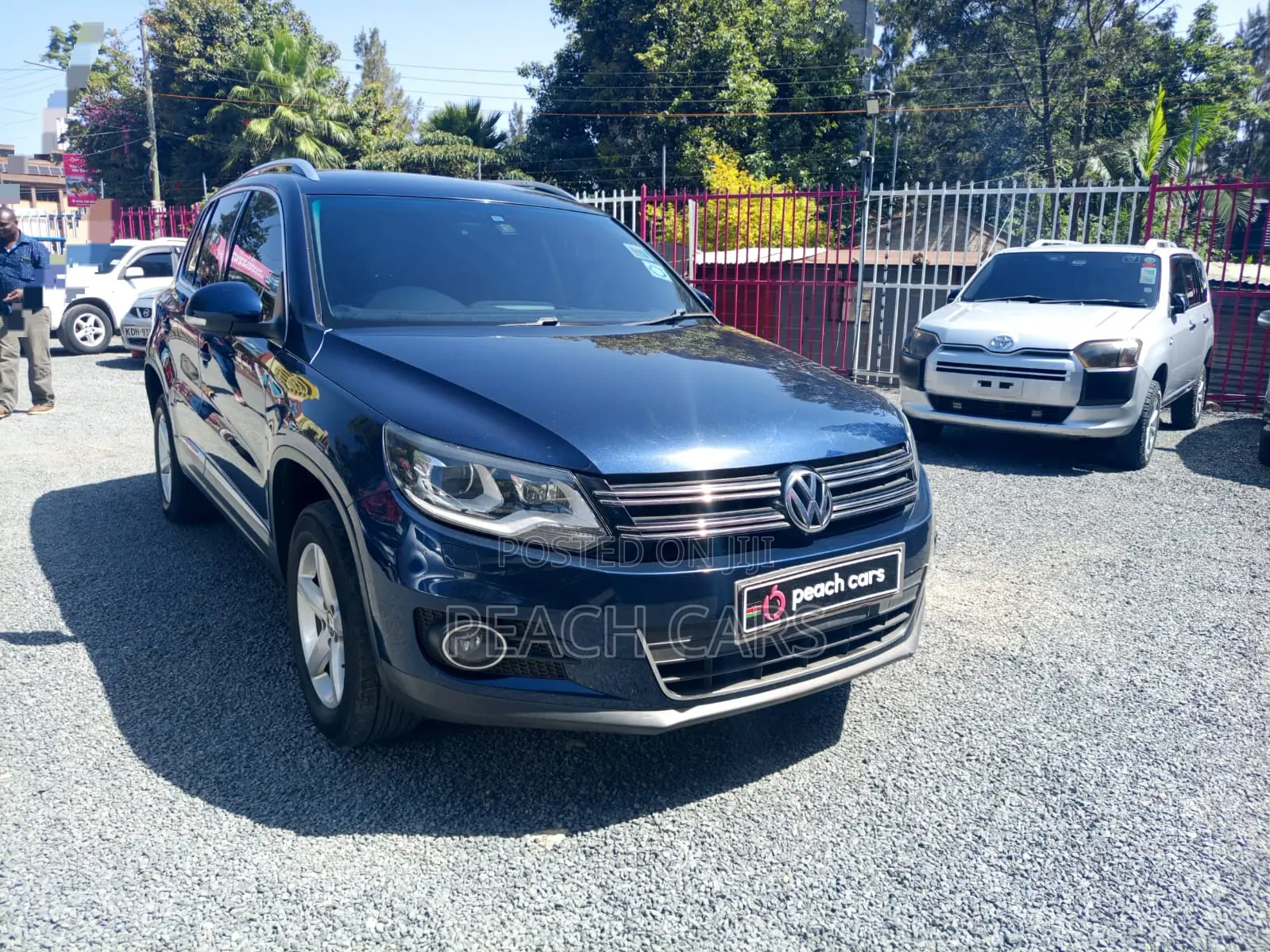 Volkswagen Tiguan 2014 Blue