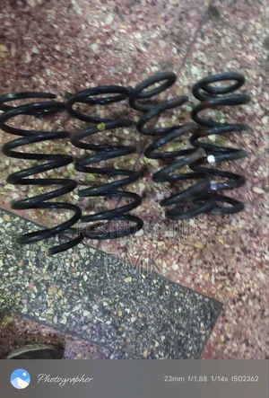 Nissan Serena New Model Springs