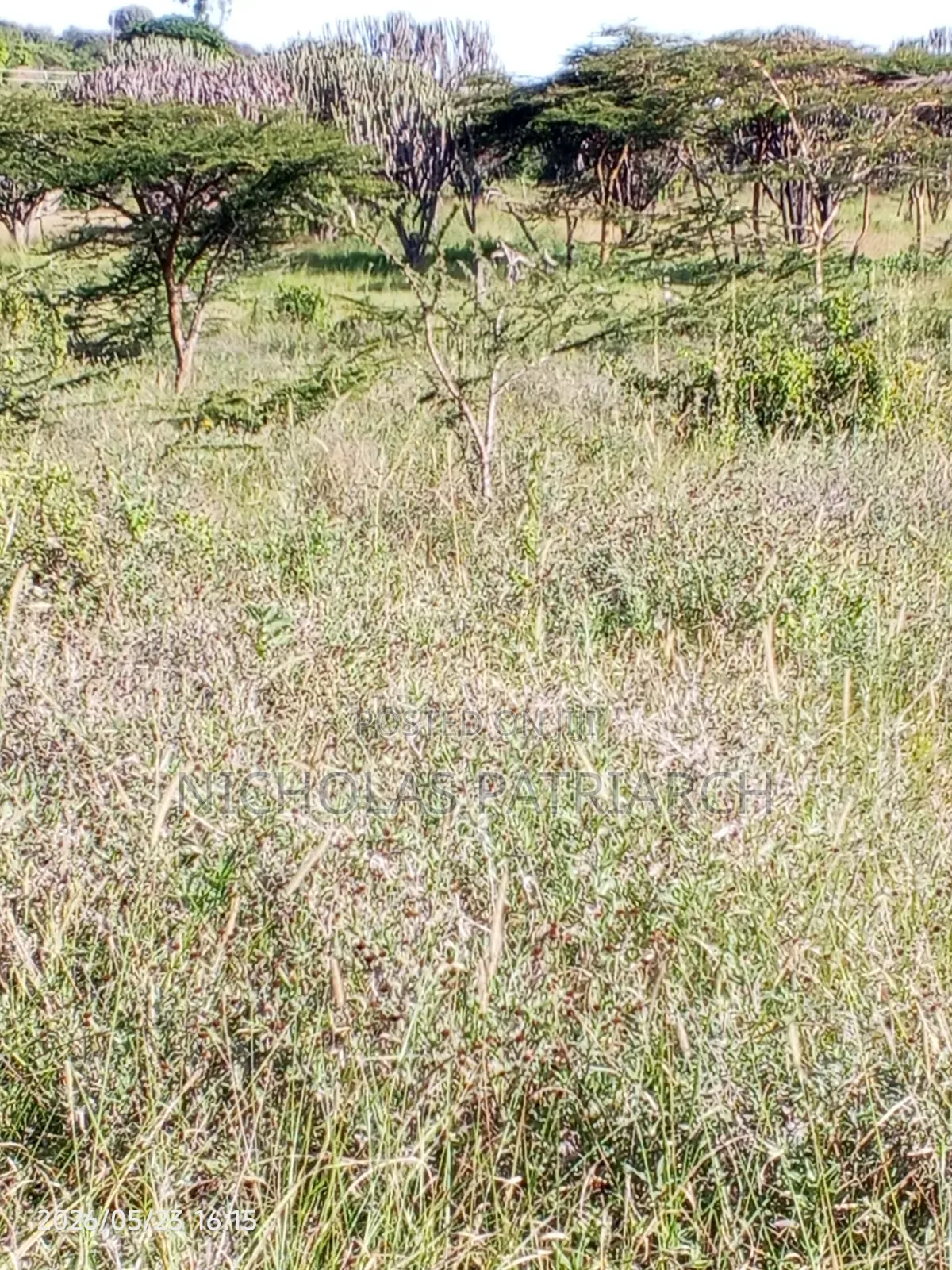 1 Acre Land at Masii Machakos County Selling at 1.5m