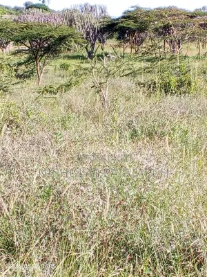 1 Acre Land at Masii Machakos County Selling at 1.5m