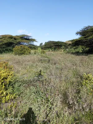 1 Acre Land at Masii Machakos County Selling at 1.5m