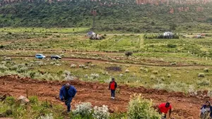 Plot for Sale