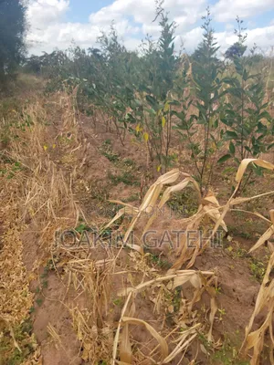 50*100 Plots Matuu