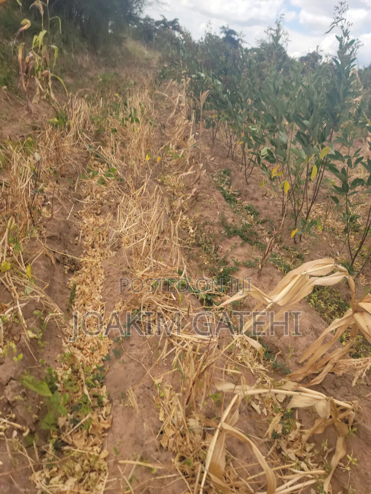 50*100 Plots Matuu