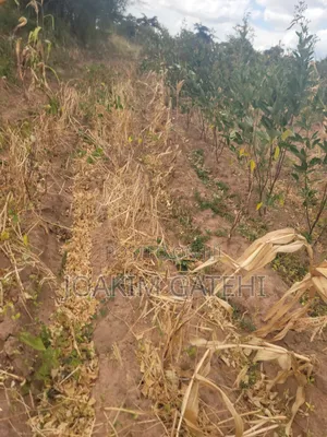 50*100 Plots Matuu
