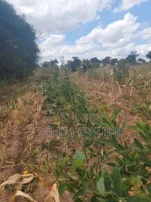 50*100 Plots Matuu