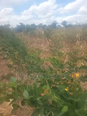50*100 Plots Matuu