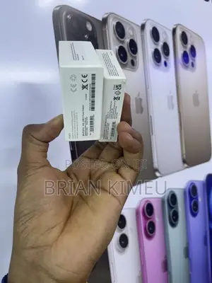 iPhone Charger
